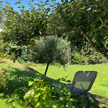 Waldhauser Appartement *