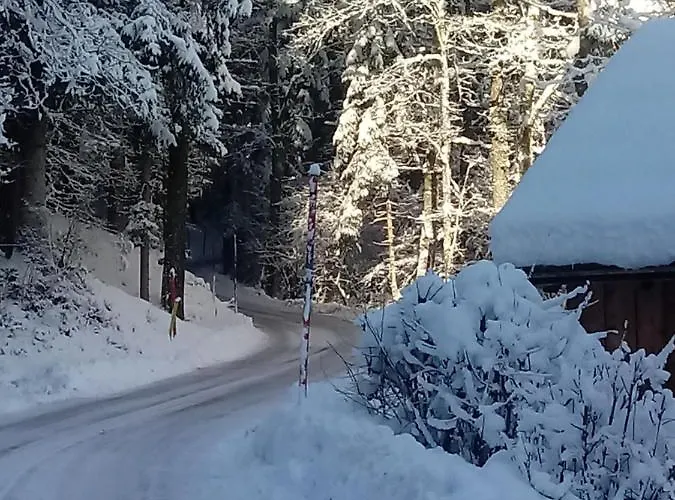 Ferienwohnung Waldhauser Apartment *