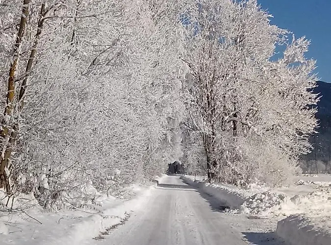 Ferienwohnung Waldhauser Apartment