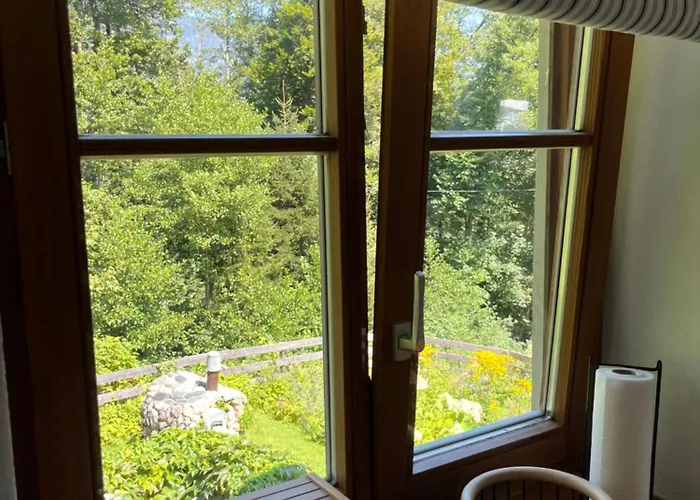 Apartment Ferienwohnung Waldhauser *