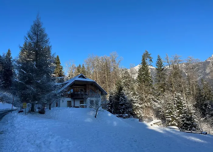 Apartment Ferienwohnung Waldhauser *