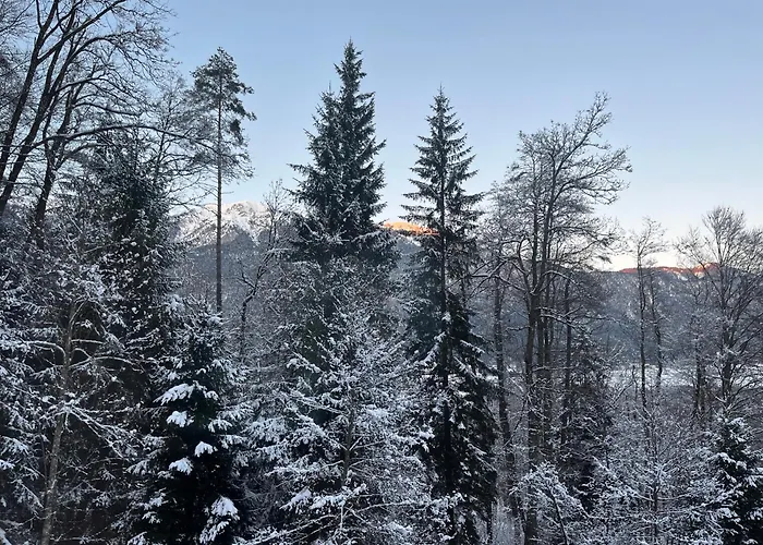 Ferienwohnung Waldhauser Apartment Hermagor-Pressegger See